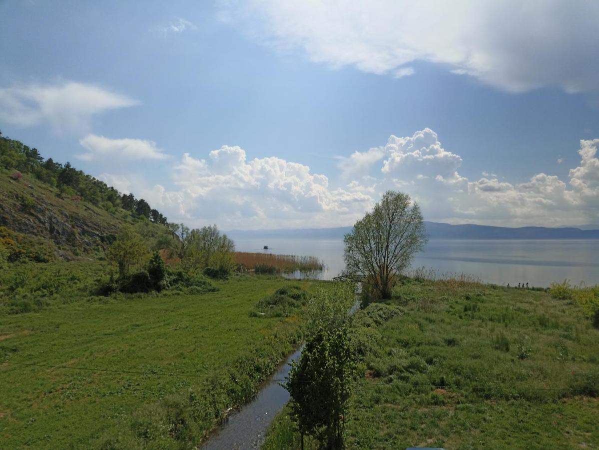 Vila Sara Ohrid Exterior photo