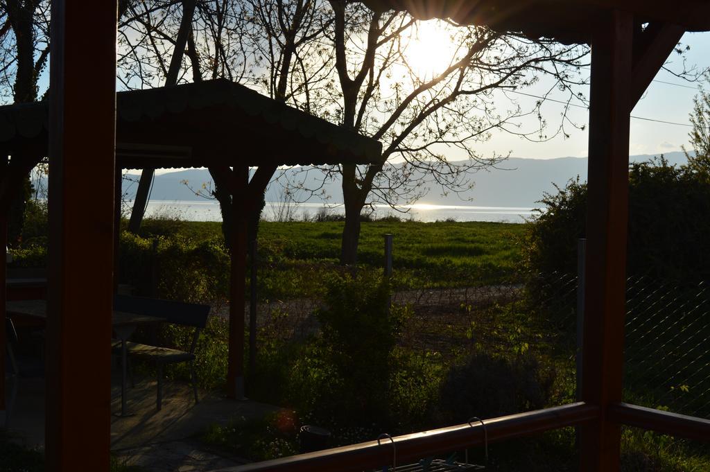 Vila Sara Ohrid Exterior photo